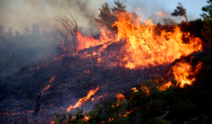 Grecia face apel la UE pentru sprijin în combaterea incendiilor de vegetație | Oficiul de Știri Grecia face apel la UE pentru sprijin în combaterea incendiilor de vegetație