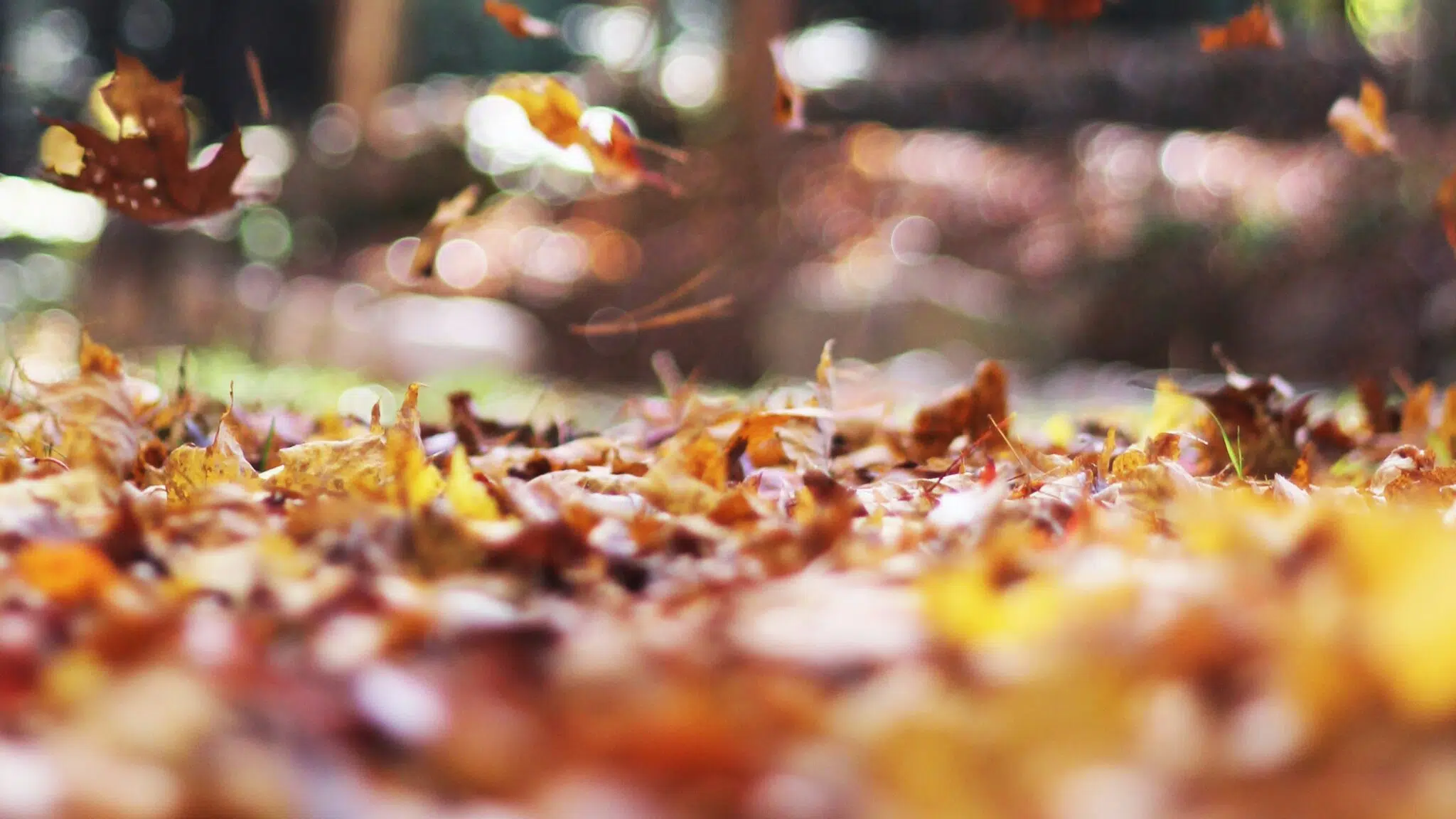 Alertă meteo: Vreme instabilă pe 2 decembrie