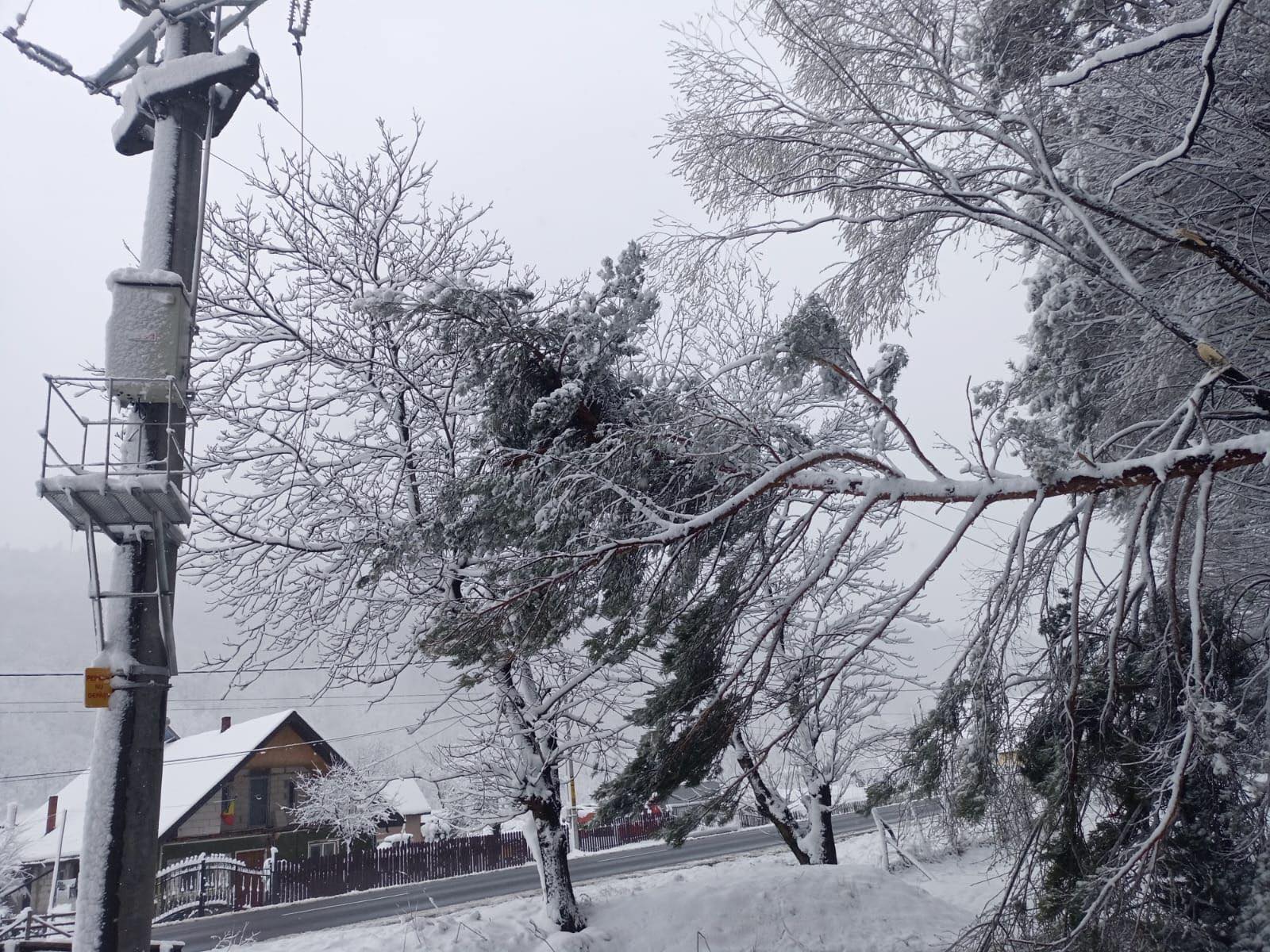 Bunurile de larg consum și cum trăiește consumatorul cu iluzia alegerii: Un număr restrâns de companii-mamut controlează piața | Oficiul de Știri Bunurile de larg consum și cum trăiește consumatorul cu iluzia alegerii: Un număr restrâns de companii-mamut controlează piața | Oficiul de Știri