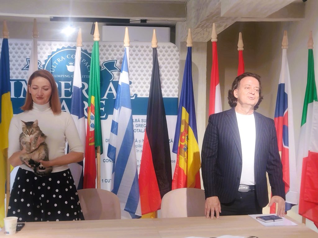 Invazie de pisici la București. Campionat Mondial Felin Invazie de pisici la București. Campionat Mondial Felin