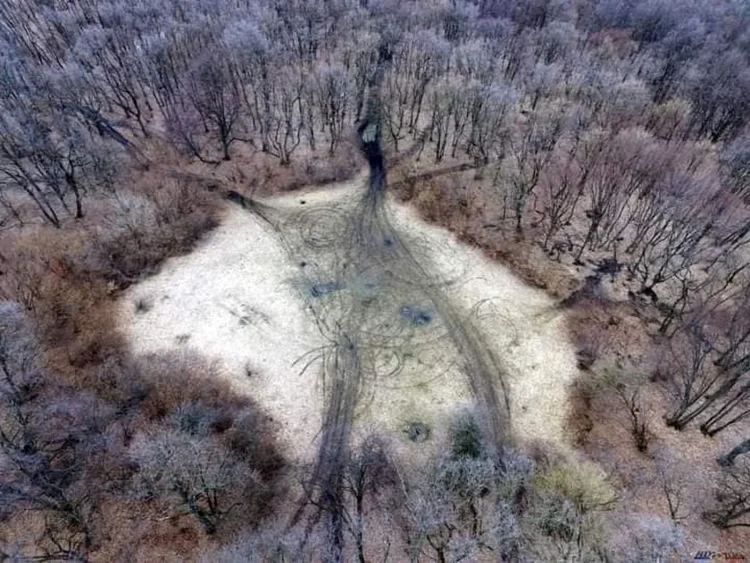 Pădurea Hoia-Baciu, Triunghiul Bermudelor din Transilvania Pădurea Hoia-Baciu, Triunghiul Bermudelor din Transilvania