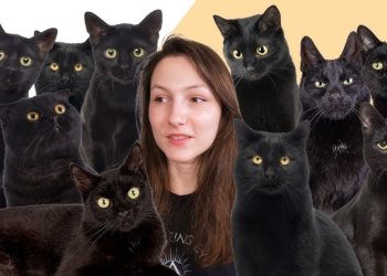 Topul lucrurilor care îi îngrijorează pe români Topul lucrurilor care îi îngrijorează pe români