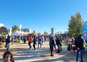 Restricţii de circulaţie, în București, pentru festivalul West Side Hallo Fest 2025. Cum se circulă în zona Lacului Morii Restricţii de circulaţie, în București, pentru festivalul West Side Hallo Fest 2025. Cum se circulă în zona Lacului Morii