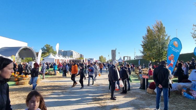 West Side Hallo Fest 2025: prețuri mai mari cu până la 20% față de anul trecut West Side Hallo Fest 2025: prețuri mai mari cu până la 20% față de anul trecut