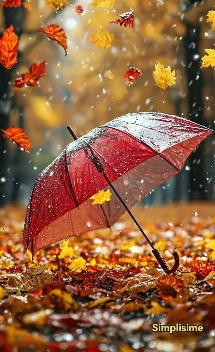 Prognoza meteo completă: Vreme caldă, azi în țară. Răcire semnificativă în noiembrie