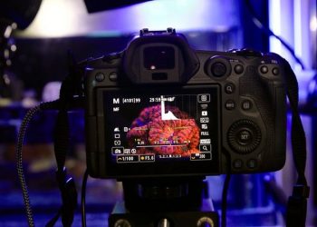 Strâmtoarea Gibraltar nu este eternă. Ce e Cercul de Foc