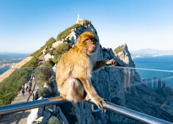 Strâmtoarea Gibraltar nu este eternă. Ce e Cercul de Foc