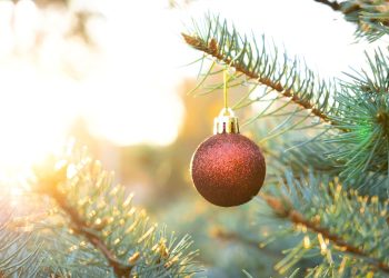 METEO: val de ninsori, viscol și polei în România / Zonele afectate METEO: val de ninsori, viscol și polei în România / Zonele afectate