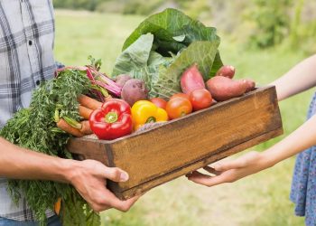 Criză în coaliție după scandalurile Mercosur și concedieri